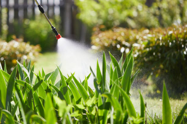 Tamper-Resistant Bait Stations for Rodents in Scenic