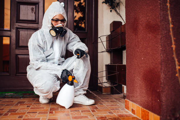 Attic and Crawl Space Rodent Treatment in Scenic