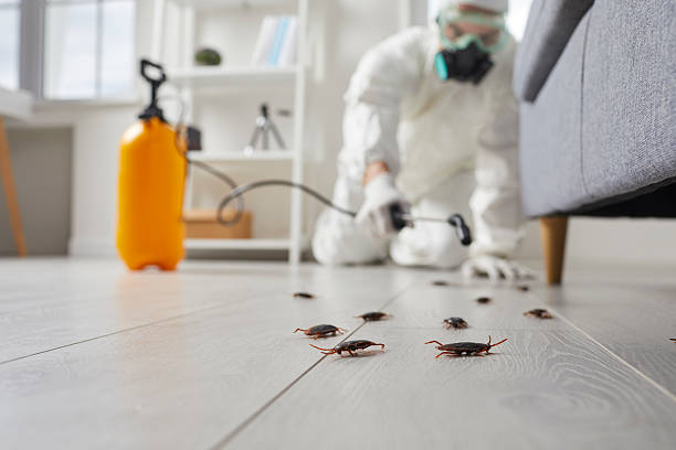 Commercial Rodent Management in Scenic